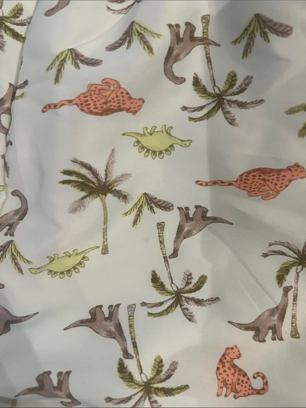 H&M Light Mint Swim Trunks with Dino & Palm Print